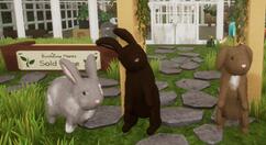 休闲游戏《兔子温室》上架Steam 与兔子一起体验温室休闲乐趣