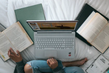 淘宝商家成长层级是什么 淘宝商家成长层级在哪里看