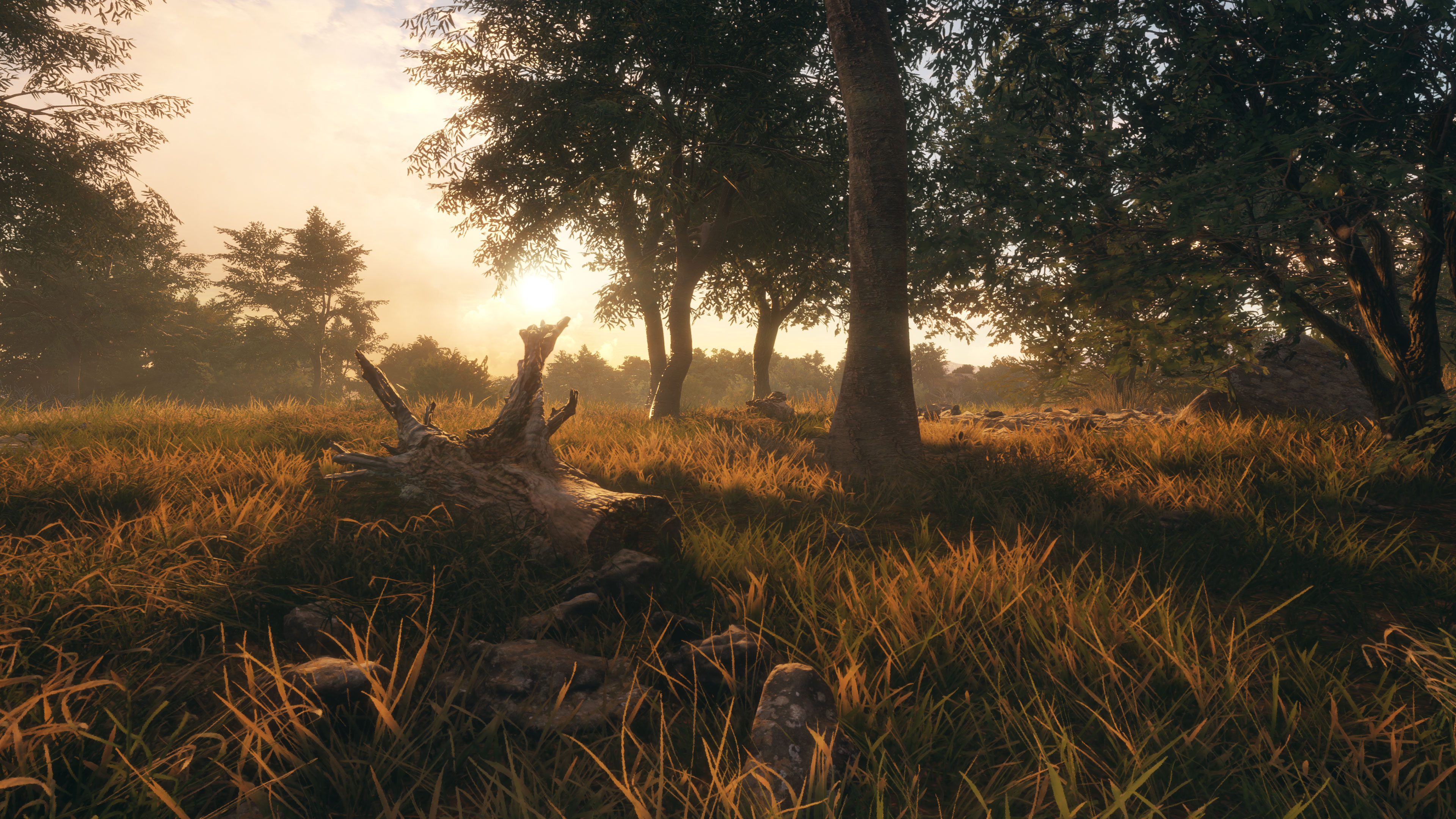 《猎人：荒野的召唤》全新DLC“阿罗约保护区”即将发售