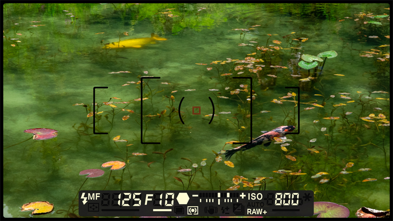 旅行冒险新游《风雨来记4》公布岐阜县11处全新景点