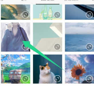 醒图怎样添加竖排文字?醒图添加竖排文字步骤