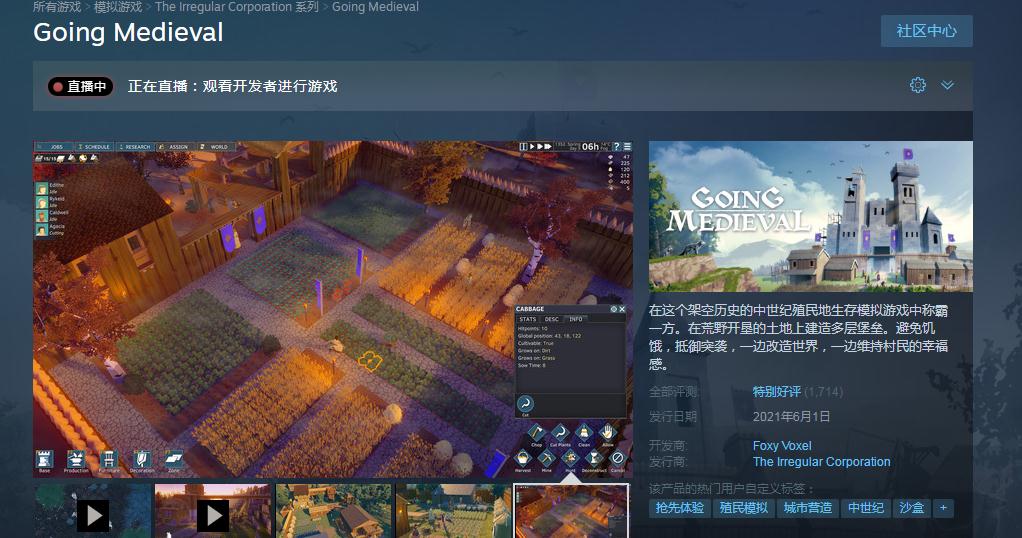 前往中世纪steam英文叫什么？前往中世纪steam英文名字介绍