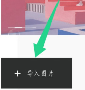 醒图怎样添加竖排文字?醒图添加竖排文字步骤