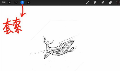 Procreate怎样调整局部大小?Procreate调整局部大小教程技巧