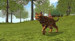 《模拟猫咪：农场动物》上架Steam 7月24日发售