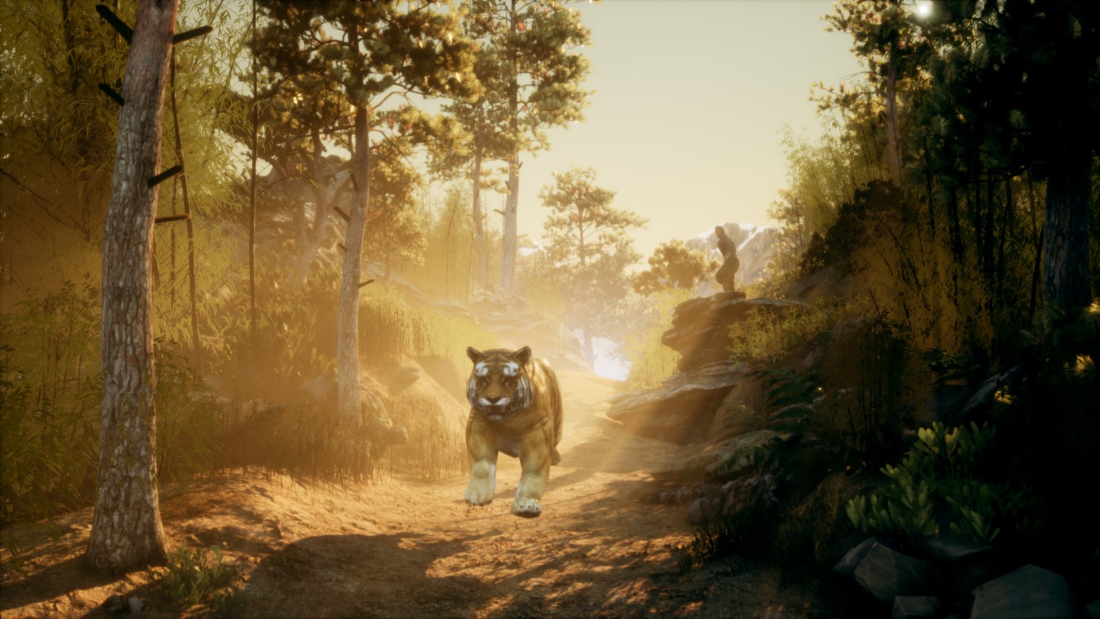 第一人称建造游戏《中国边疆》上架Steam 探索修建长城时的华人生活