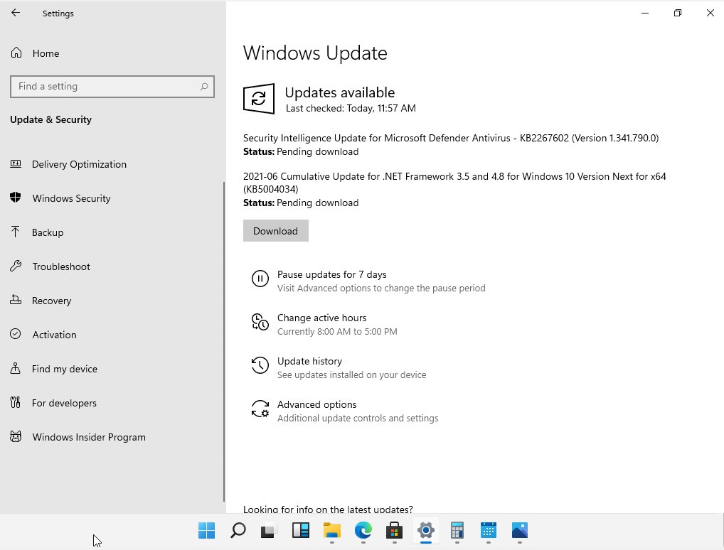 Windows 11 Build 21996.1 Dev 版 ISO 镜像截图一览