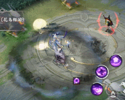 《决战！平安京》花鸟卷典藏皮肤“明月几时”7月9日上架