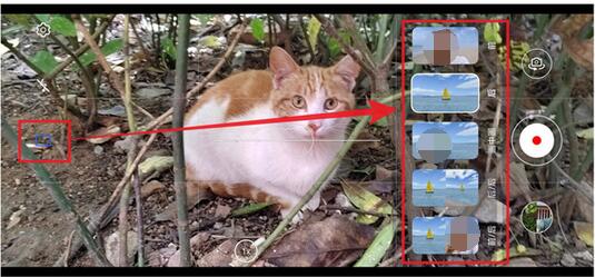 荣耀50前后摄像头怎么一起拍?荣耀50前后摄像头一起拍的方法