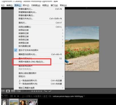 lightroom如何转换图片格式为dng?lightroom转换图片格式为dng的方法