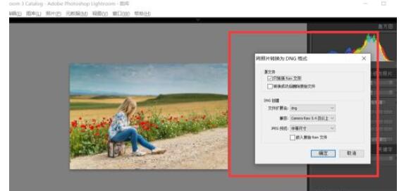 lightroom如何转换图片格式为dng?lightroom转换图片格式为dng的方法