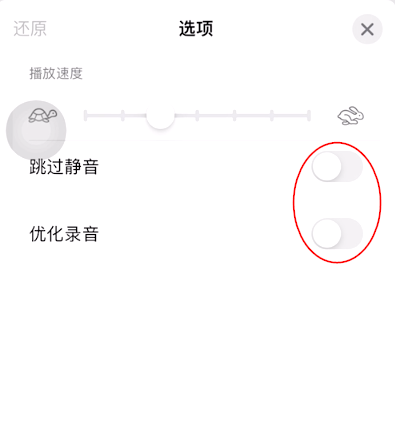 iOS15如何开启语音备忘录跳过静音?iOS15语音备忘录跳过静音开启方法