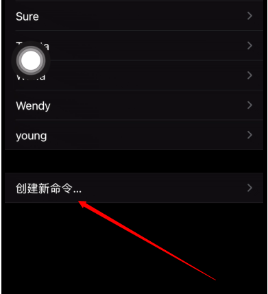 iPhone手机怎样设置语音拍照?iPhone手机语音拍照教程