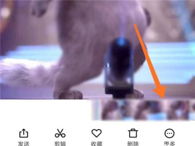 小红书怎样使用动态壁纸?小红书启用动态壁纸教程技巧