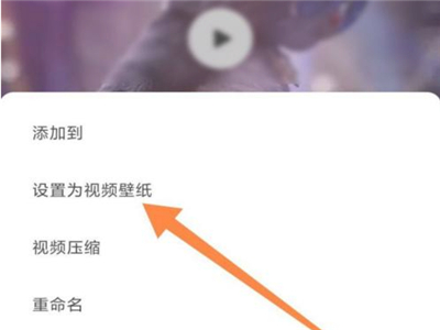 小红书怎样使用动态壁纸?小红书启用动态壁纸教程技巧