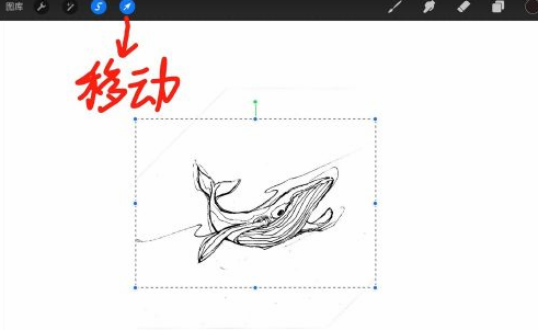Procreate怎样调整局部大小?Procreate调整局部大小教程技巧