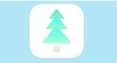 一个木函网页转应用怎样才能成功?一个木函网页转应用教程