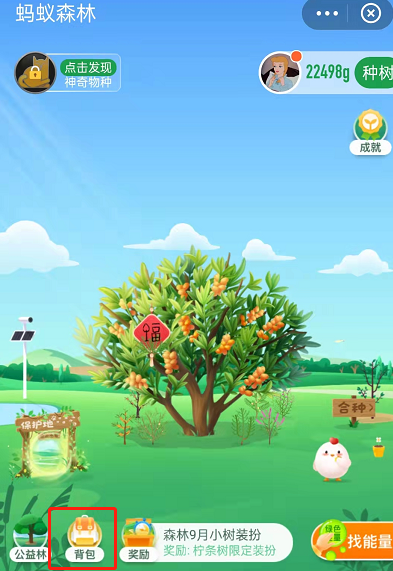 蚂蚁森林怎么获取已种树永久皮肤？支付宝蚂蚁森林获取已种树永久皮肤的方法