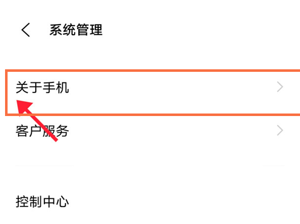 vivoX70怎么开启开发者模式?vivoX70开启开发者模式教程