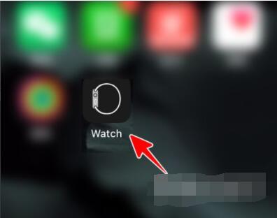AppleWatch如何升级到watchOS8？AppleWatch升级到watchOS8教程