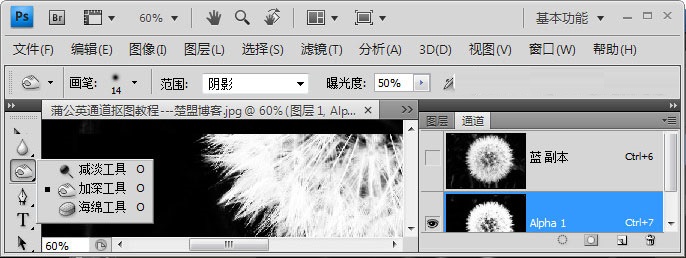 Photoshop如何完成蒲公英抠图?Photoshop蒲公英抠图教程