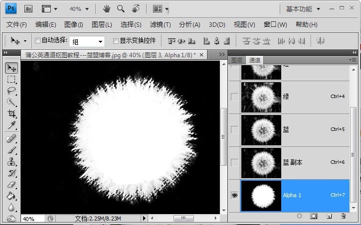 Photoshop如何完成蒲公英抠图?Photoshop蒲公英抠图教程