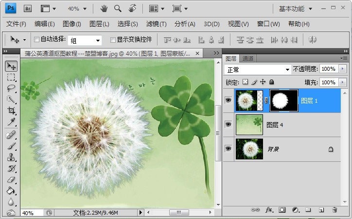 Photoshop如何完成蒲公英抠图?Photoshop蒲公英抠图教程