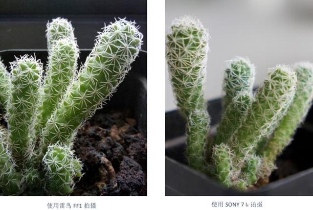 雷鸟FF1拍照性能好吗？雷鸟FF1拍照性能介绍