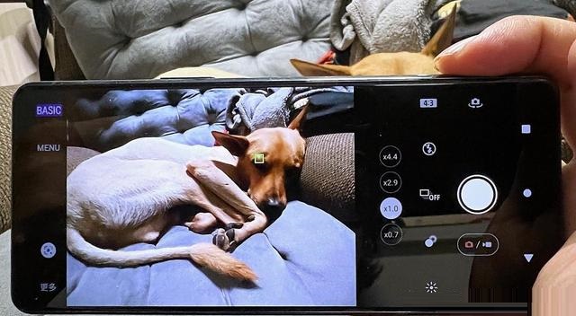 索尼xperia5iii怎么样？索尼xperia5iii全面评测