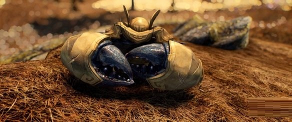 《上古卷轴5：天际重制版》新Mod高清材质包发布