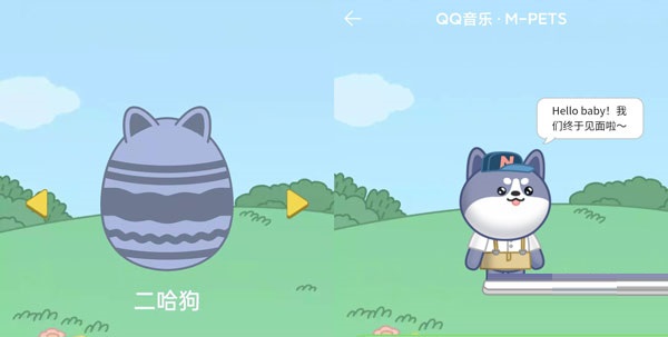 QQ音乐宠物是什么样的?QQ音乐宠物样子对比