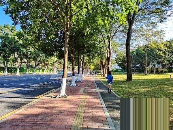 OPPOReno7拍照性能如何?OPPOReno7拍照性能介绍