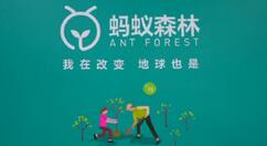 蚂蚁森林如何打开省电模式？蚂蚁森林打开省电模式方法