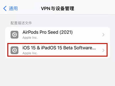 苹果手机怎么查看已下载描述文件？苹果手机查看已下载描述文件方法