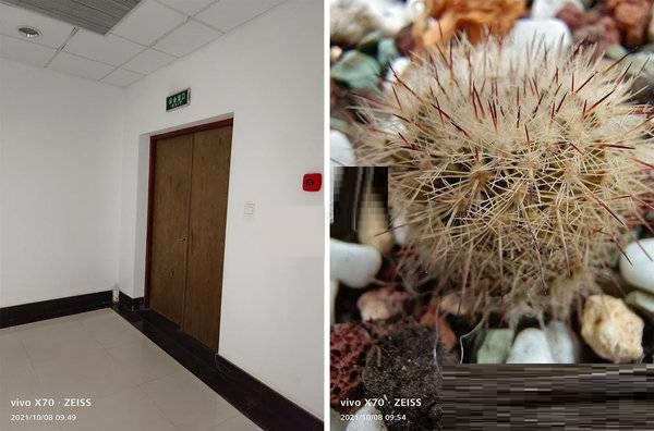 vivox70拍照性能好吗?vivox70拍照性能介绍