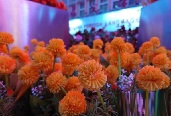 索尼XperiaPRO-I拍照性能怎么样?索尼XperiaPRO-I拍照性能介绍