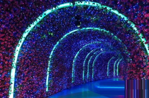 索尼XperiaPRO-I拍照性能怎么样?索尼XperiaPRO-I拍照性能介绍