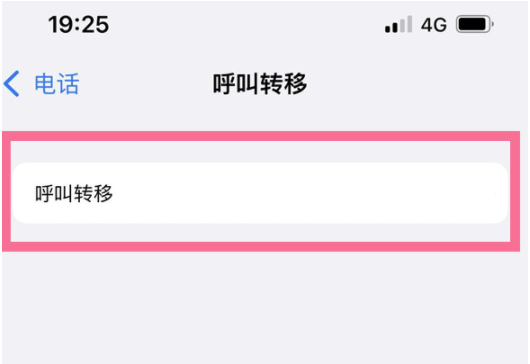iPhone13呼叫转移怎样设置?iPhone13添加呼叫转移号码流程介绍