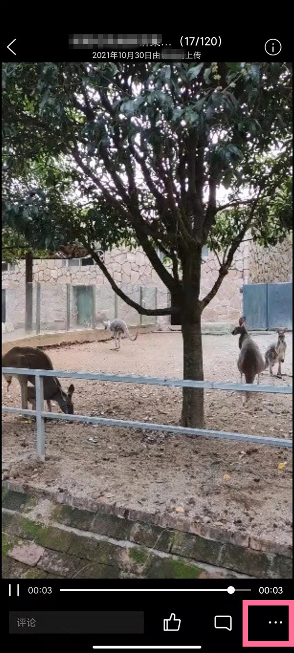 qq相册视频如何保存至手机？qq储存相册视频方法介绍