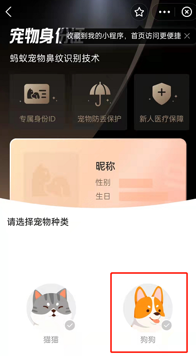 支付宝怎么领取宠物身份证？支付宝获取宠物身份证教程一览
