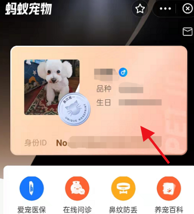 支付宝怎么禁止他人查看宠物身份证?支付宝关闭宠物身份证查看权限步骤分享