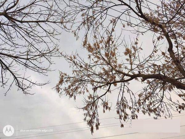 摩托罗拉edgex30拍照性能好吗？摩托罗拉edgex30拍照性能解析