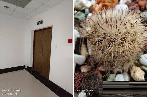 vivoX70t拍照性能好吗？vivoX70t拍照性能详解