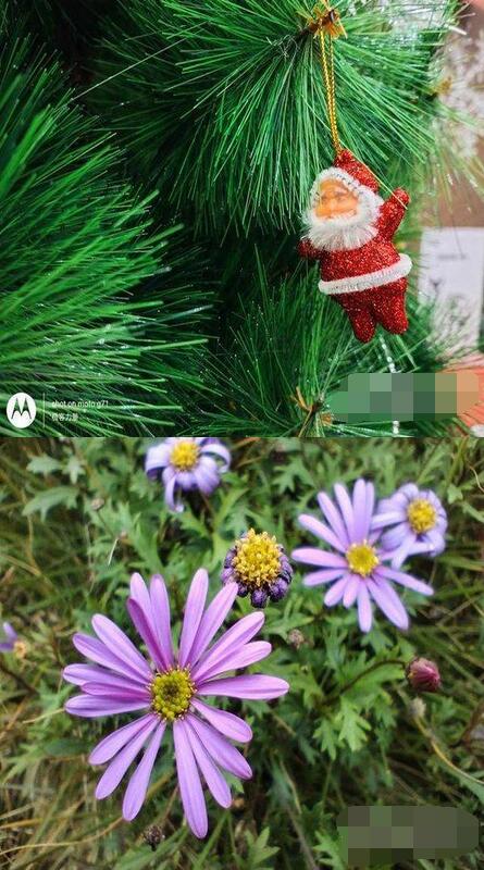 摩托罗拉G71怎么样？摩托罗拉G71真机实测详解