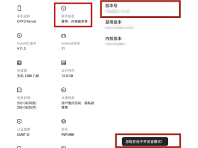 opporeno6开发者选项在哪里？opporeno6开发者选项位置介绍