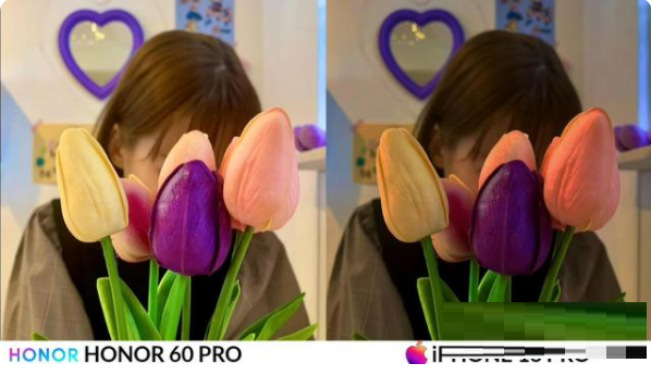 荣耀60Pro和iPhone13Pro拍照哪个好?荣耀60Pro和iPhone13Pro拍照对比介绍