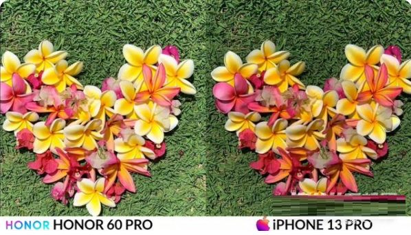 荣耀60Pro和iPhone13Pro拍照哪个好?荣耀60Pro和iPhone13Pro拍照对比介绍