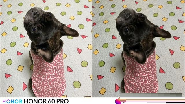 荣耀60Pro和iPhone13Pro拍照哪个好?荣耀60Pro和iPhone13Pro拍照对比介绍