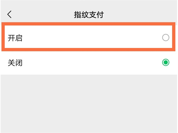 苹果13微信如何启用指纹支付？苹果13设置微信指纹付款教程