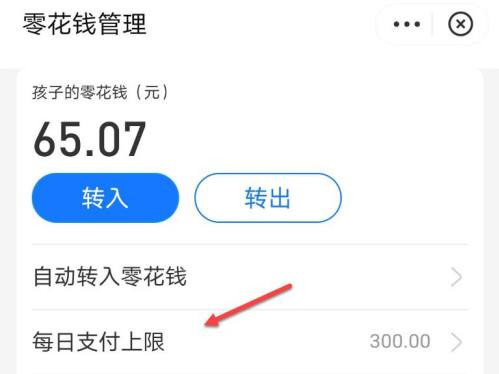 小天才电话手表怎样设置每日支付上限？小天才电话手表修改支付金额步骤分享